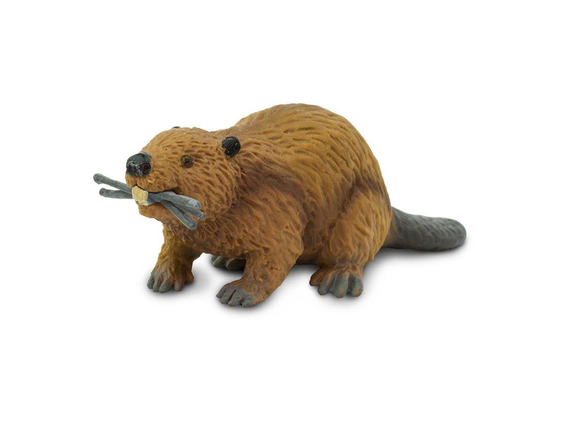 SAFARI Beaver
