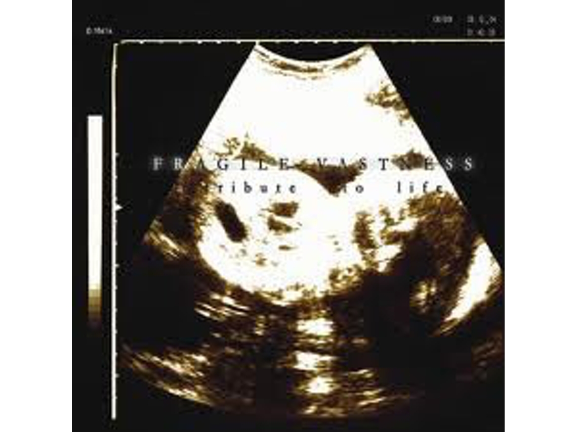 CD Fragile Vastness - A Tribute To Life