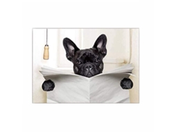Quadro Decorativo Cão Engraçado Lendo Jornal Para Ambiente Interior
