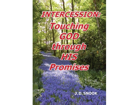 Livro INTERCESSION Touching GOD through HIS Promises de JD Snook (Inglês)