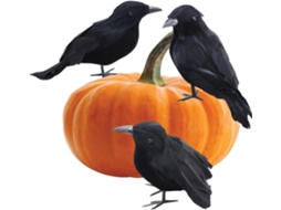 Corvos Pretos De Halloween | 3 Pássaros Falsos | Acessórios Para Casa Assombrada