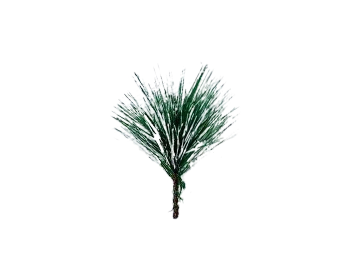 Laxiscreed Ramos De Pinheiro Verde De 5,5cm Para Decoração Natural, Pacote Com 20 Unidades