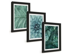 Composição De Quadros Close-ups De Plantas E Folhas Moldura Preta Imagens Para Um Quarto Infantil Espelharte (3 Peças 20x30 Cm)