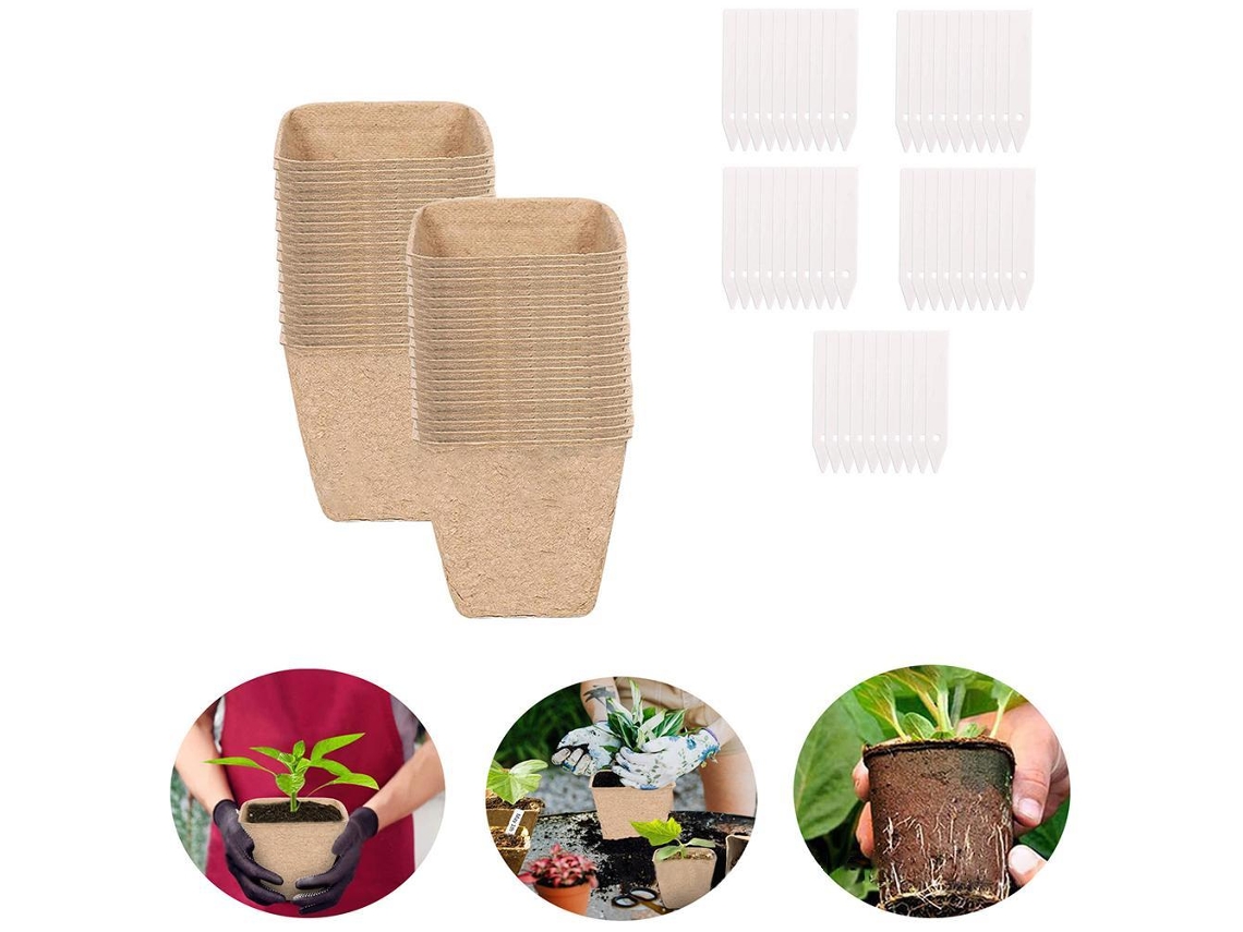 Adesivo de parede com citação Black Feather Primerox para casa e quarto