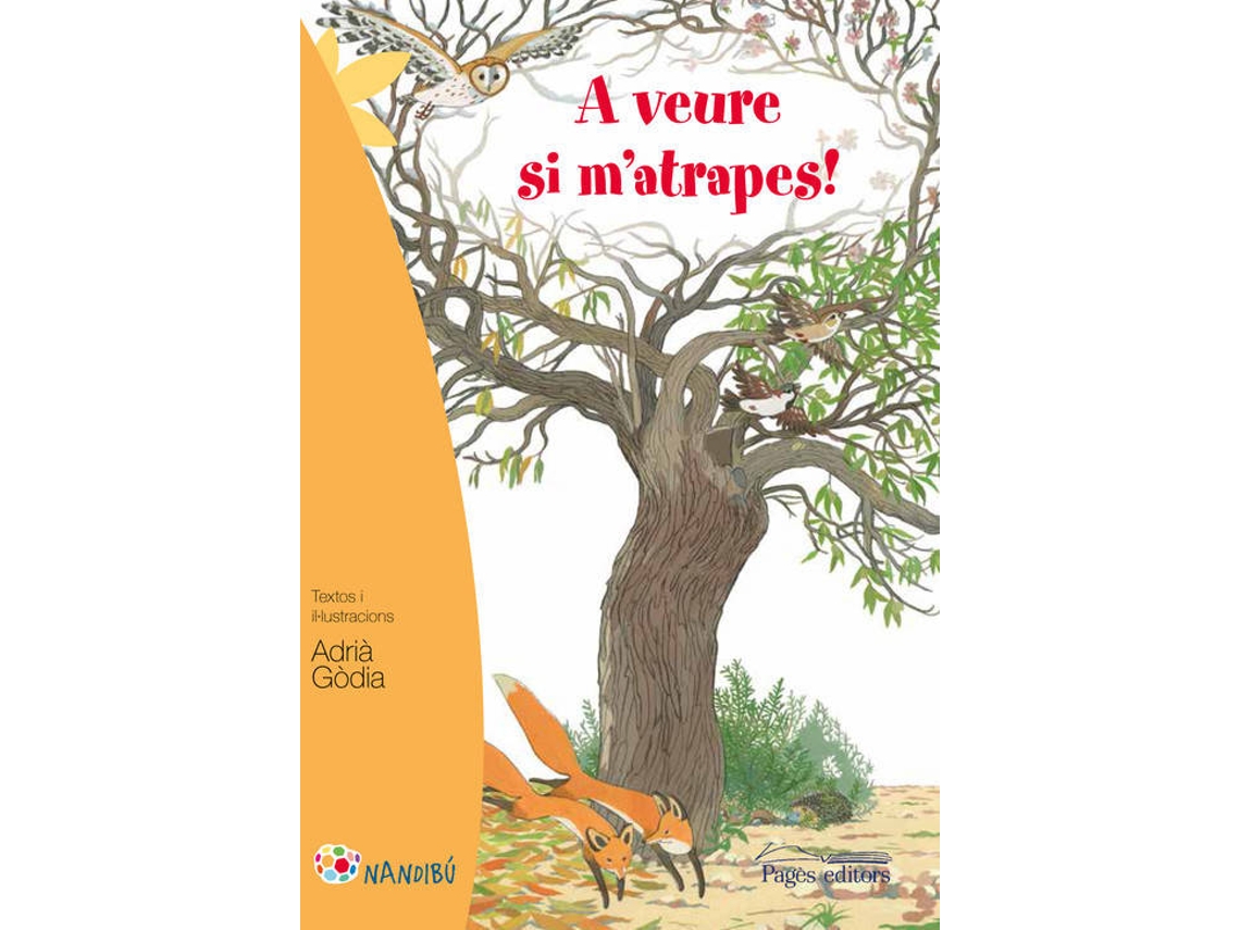 Livro (Espanhol)
