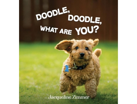 Livro DOODLE, DOODLE, WHAT ARE YOU? de Jacqueline Zimmer (Inglês)