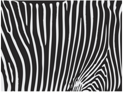 Papel de Parede ARTGEIST Zebra Pattern (Preto e Branco) (200x154 cm)