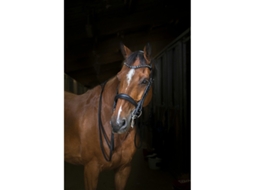Cabresto para cavalos Eric Thomas Hybrid