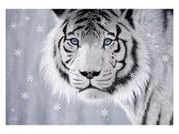 Puzzle Anatolian Tigre de Cristal de 500 Peças