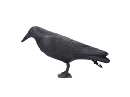 Estátua De Corvo Plástico Decoração E Isca Para Caça