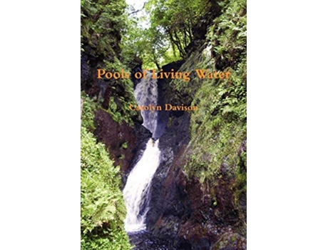 Livro Pools of Living Water Chinese Edition de Carolyn Davison (Inglês)
