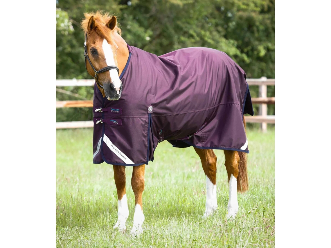 Manta para Cavalos Ao Ar Livre PREMIER EQUINE Titan 200 gOriginal