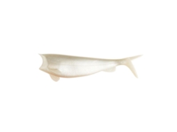 Hart Aboslut Soft Shad 120 Mm 4 Pcs