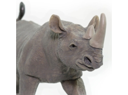 SAFARI Black Rhino