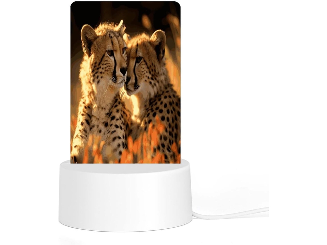 Luminária noturna de acrílico com LED, base de plástico e plugue, estampa de oncinha.