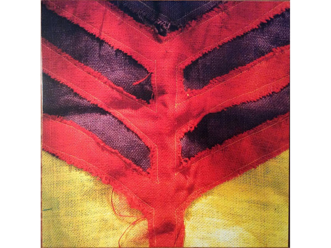 Vinil Yeah Yeah Yeahs - Show Your Bones