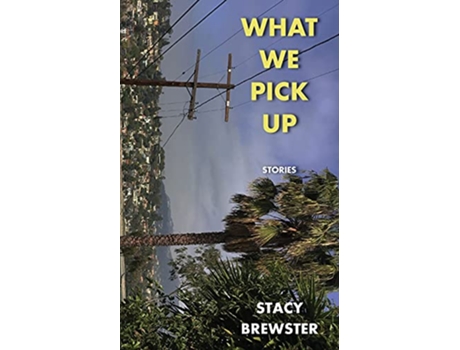 Livro What We Pick Up de Stacy Brewster (Inglês)