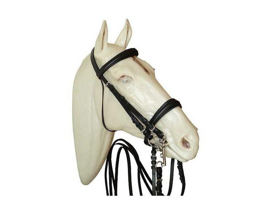 Adestramento para Bridão e Freio Winoseband Beige Cobmarjoman Distribucion