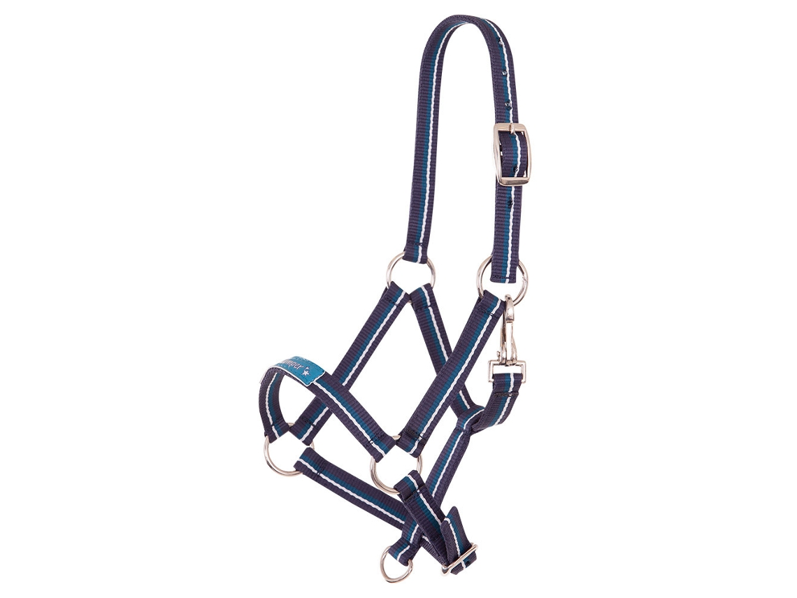 Cabresto para Potros PREMIERE Equitation Fun