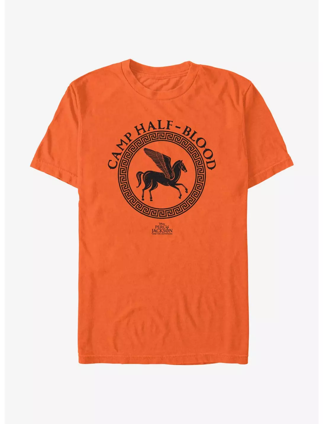 Camiseta Disney Percy Jackson e os Olimpianos - Acampamento Meio-Sangue - Unissex - Tamanho: GG - ROCKINSTONE