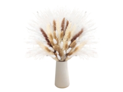 Laxiscreed Flores Secas Brancas Reed Rabbit Tail Para Decoração Com Caixa De Pele De Vaca