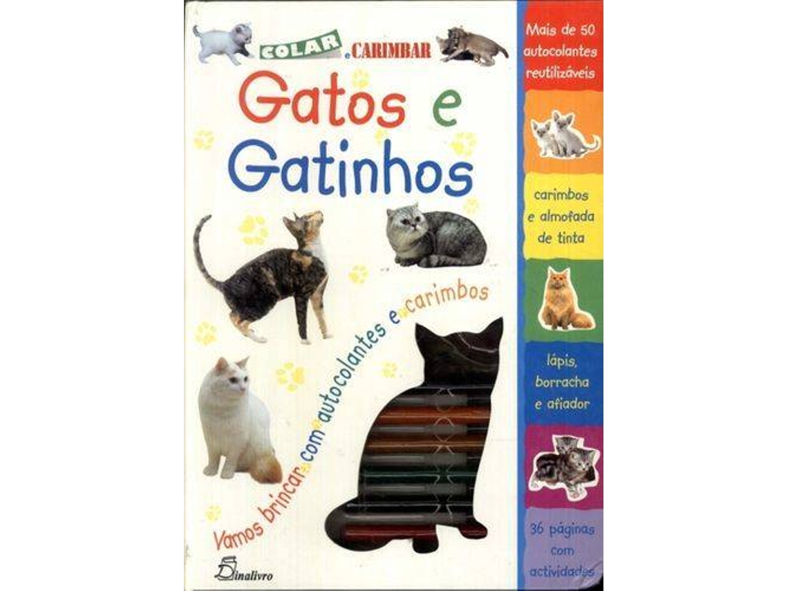 Livro .Gatos E Gatinhos de Jason Hook (Português)
