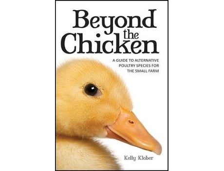 Livro beyond the chicken de klober kelly (inglês)