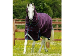 Manta para Cavalo Ao Ar Livre com Cobertura de Pescoço PREMIER EQUINE Titan 200 G
