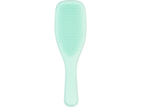 Wet Detangler Fine & Fragile Mint