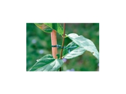 ROLO DE FIO PLAST. C/ CORTADOR 30m