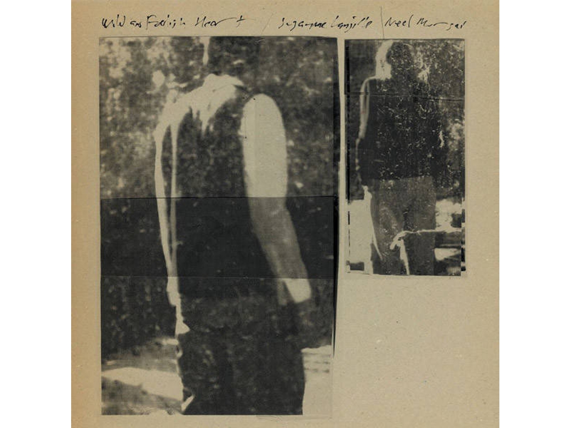 Vinil LP Suzanne Langille & Neel Murgai - Wild & Foolish Heart