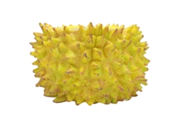 Vaso de Suculenta Primerox em Formato de Durian Resina Pequeno para Decoração Jardim e Casa