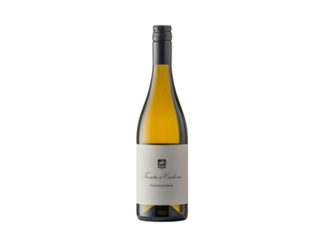 Pianvecchio 2023 TENUTA DI CARLEONE