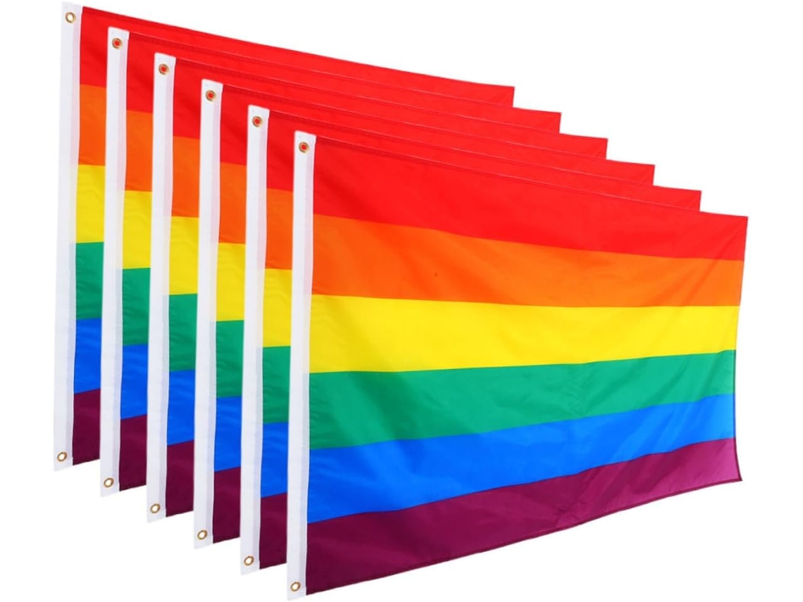 Conjunto De 6 Bandeiras Do Orgulho Lgbtq Para Uso Interno E Externo Em Paredes. Gokoco
