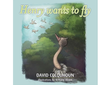 Livro Henry Wants To Fly De David Colquhoun (inglês)