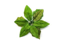 Flores de Natal Simuladas em Tecido para Árvore 22cm | S/MARCA