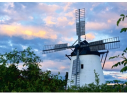 Puzzel Windmühle Bei Retz Quebra cabeça de 1000 Peças RAVENSBURGER
