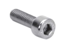 Schwarz Screw Hexagonal 10 Units