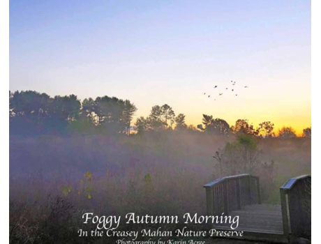 Livro Foggy Autumn Morning De Karin Acree (inglês)