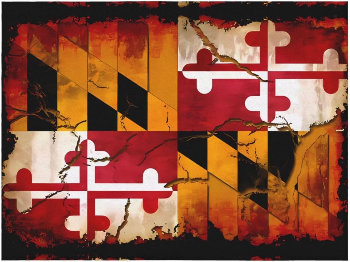 Manta de Flanela Ultramacia Phayah com Estampa Vintage da Bandeira Maryland em Madeira Ideal para Sofá Cama Sa