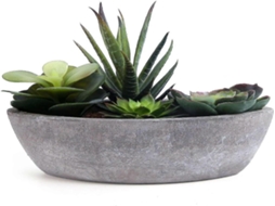 Suculentas Artificiais - Verde, Plástico, 15,5 X 9 X 14,5 Cm - Para Interiores | Lurelia