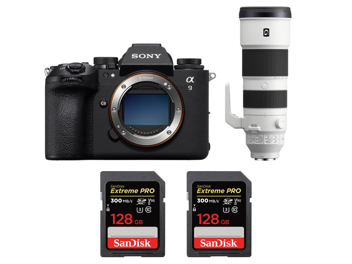 A9 Iii + Fe 200 600mm F/5.6 6.3 G Oss + 2 Sandisk 128gb Uhs ii 300mb/s + Ebook “20 Dicas para Fotos Que Impressionam” SONY