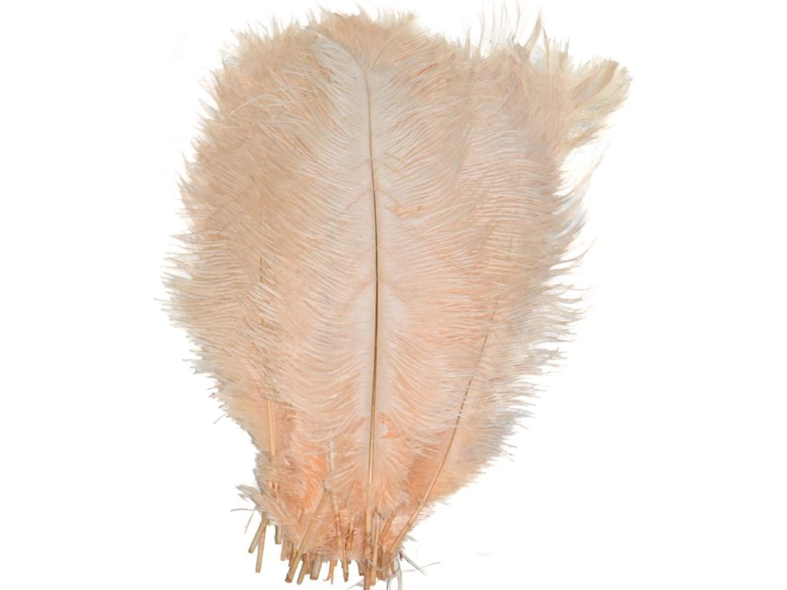 Lote De 10 Plumas Naturais De 40 A 45 Cm Para Centros De Mesa De Casamento, Decoração De Interior (champanhe)