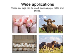 Yuru alicates de Tags para Animais, 100pcs, com Pinos e Chave