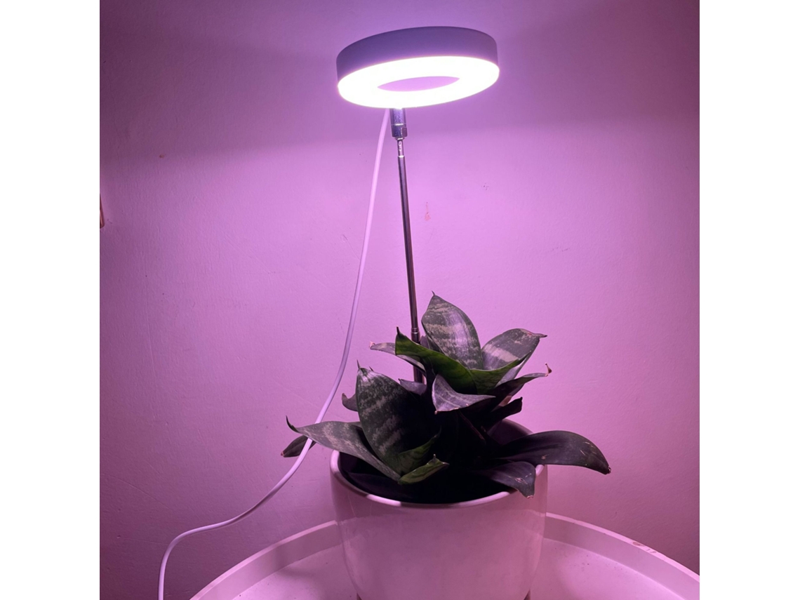 Luz Noturna Com Sensor De Movimento, Luzes Noturnas Reguláveis ​​com Brilho Aquaforge
