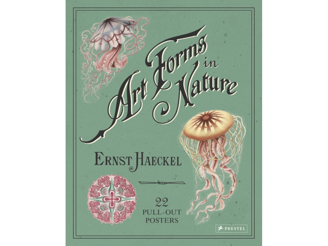 Livro ernst haeckel: art forms in nature: 22 pull-out posters de haeckel, ,ernst (inglês)