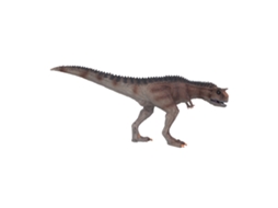 Mali brinquedo Dinossauro Torossauro Carnotaurus Modelo Plástico Educativo para Crianças
