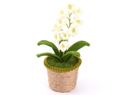 Planta em Vaso de Lírio dos Vales LAXISCREED