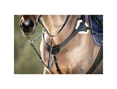 Coleira de caça para cavalos HFI 5 Points