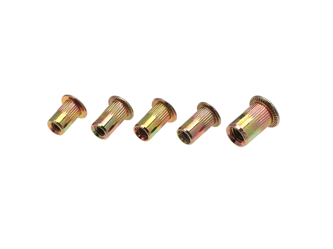 Conjunto De Rebite Cego E Porca Em Aço Galvanizado Laxiscreed Ideal Para Reparação E Renovação
